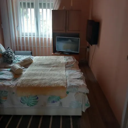 Ria Vendeghaz Daire *