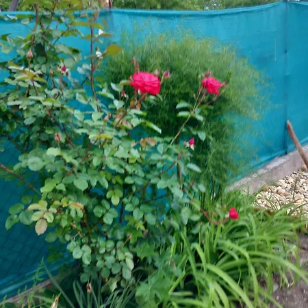 Ria Vendeghaz Daire Mezőkövesd