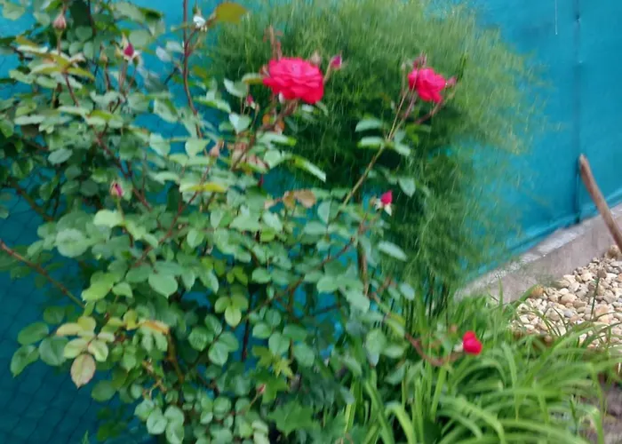 Ria Vendeghaz Apartament Mezőkövesd